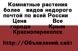 Комнатные растения более200видов недорого почтой по всей России › Цена ­ 100-500 - Все города  »    . Крым,Красноперекопск